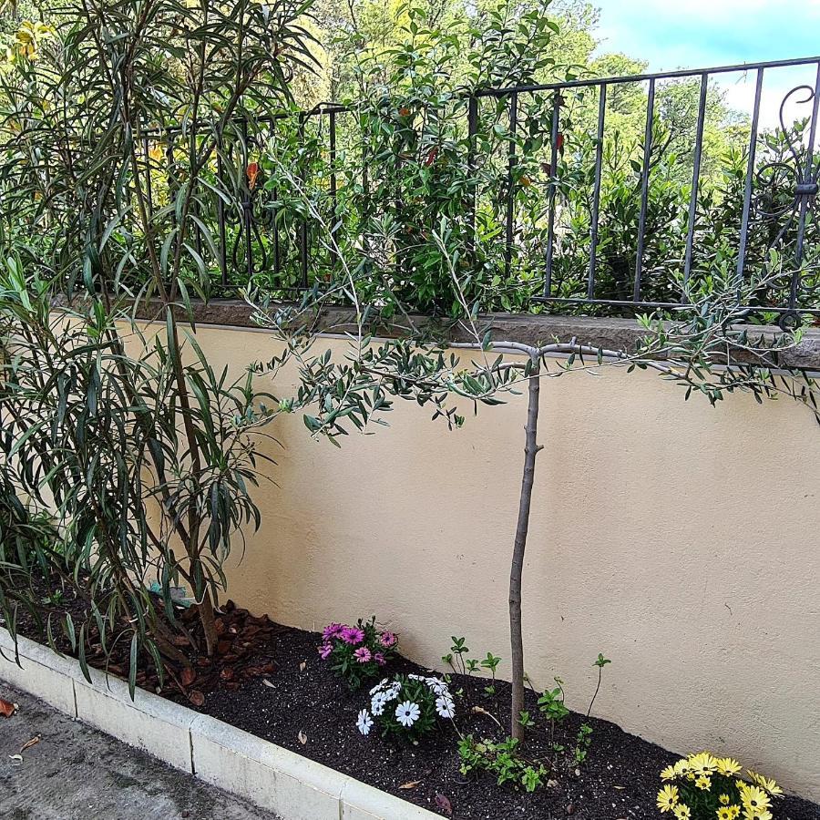 Vila Casa Mon Tiurana Exteriér fotografie